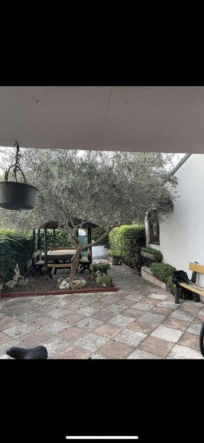 Da Laura Villa Lido Adriano Buitenkant foto